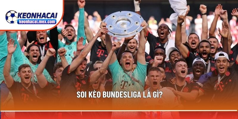 Những thông tin sơ lược về soi kèo Bundesliga