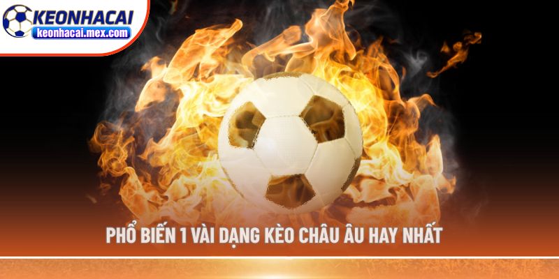 Phổ biến 1 vài dạng kèo Châu Âu hay nhất