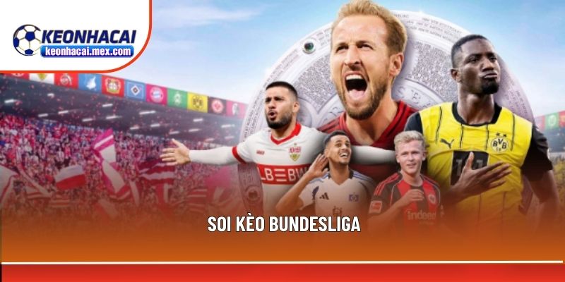 Soi kèo Bundesliga
